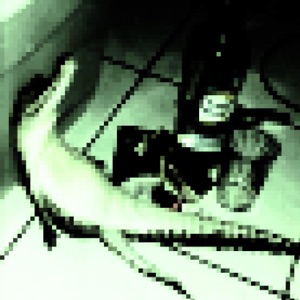Drunkodile - EP