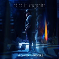 Did It Again (Slowed + Reverb) - Single - Doubt3d
