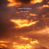 Veiled Emotions artwork