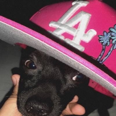 Q HAN LOGRADO - Single