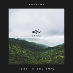 Fork in the Road (Metic Remix) - Single