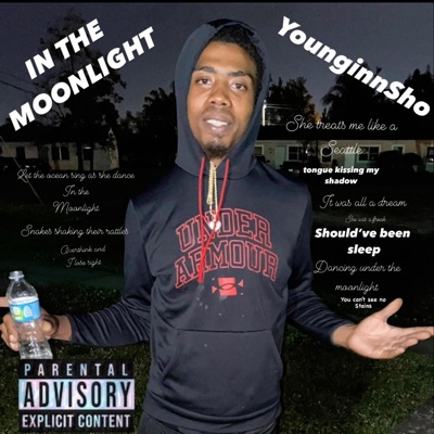 In the Moonlight - Single