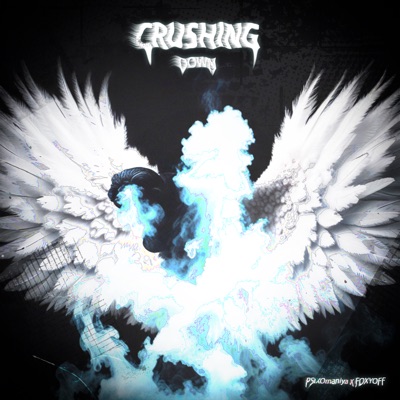 Crashing Down - Single