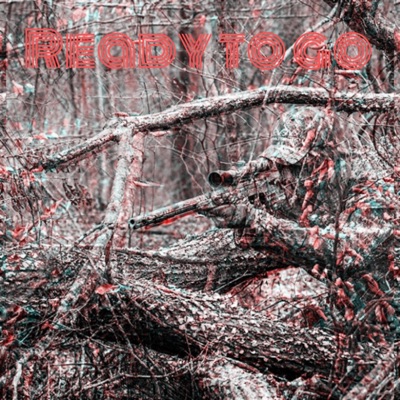 Ready To Go - Single