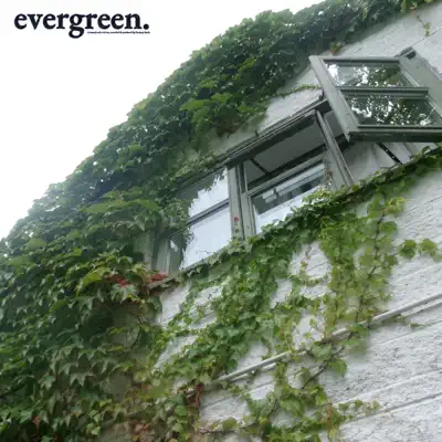 Escucha evergreen: overgrown - EP de Zach Settle.