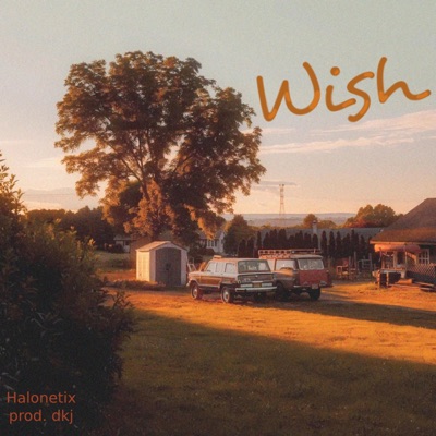 Wish (feat. Dkj) - Single