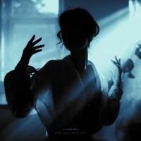 wish you never left - Rok Nardin