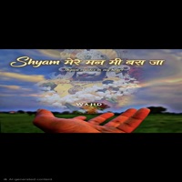 Shyam Mere Man Mei Bas jaa - Single - Wajid