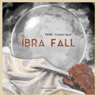 Ibra Fall
