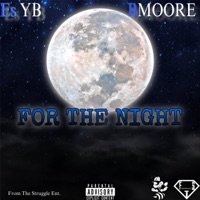 For The Night (feat. B Moore) - Single - Es YB