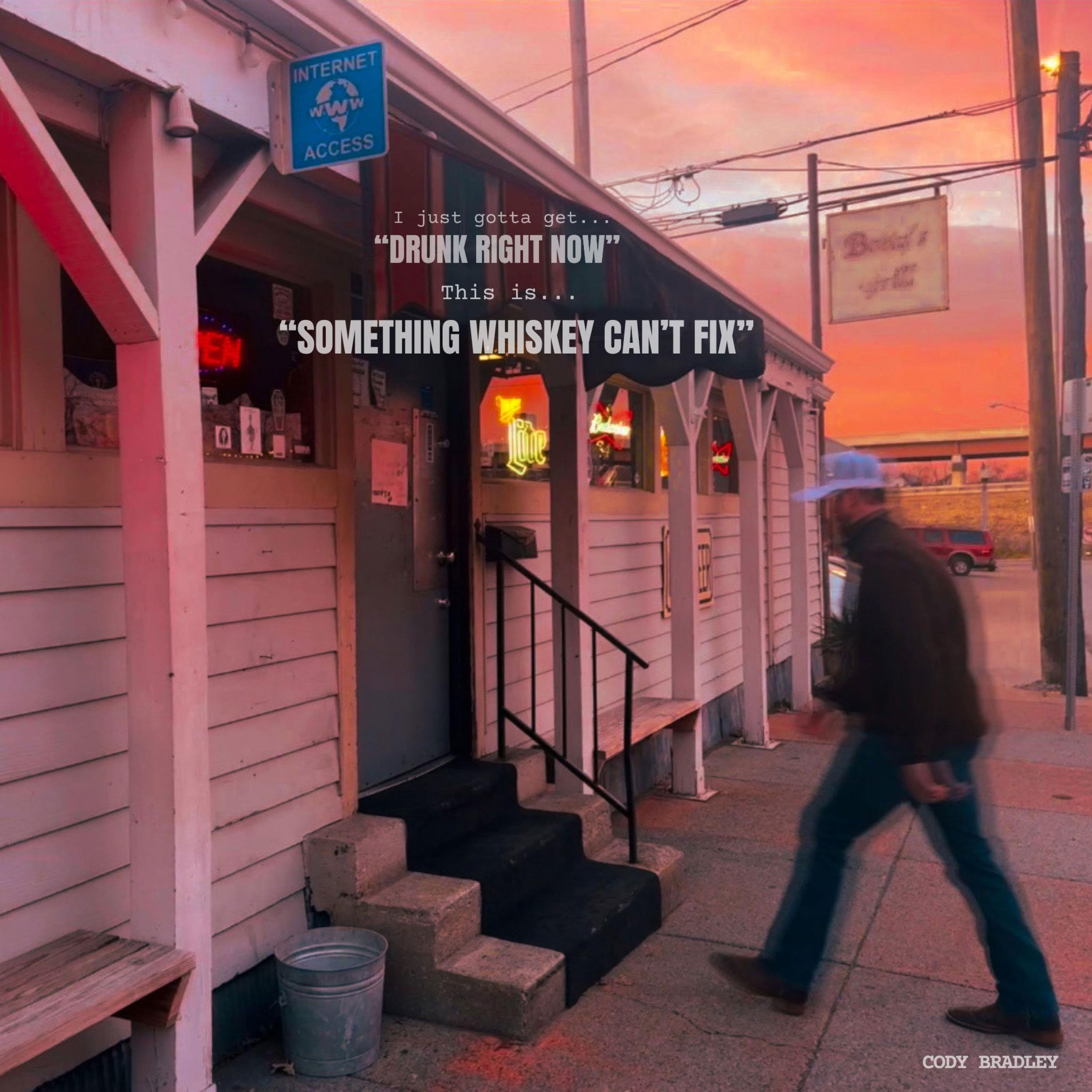 Something Whiskey Can't Fix - Single