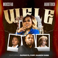 Wele (feat. Papekeys, Fury & Kamoh Xaba) - Single - MgucciFab & Akanitouch