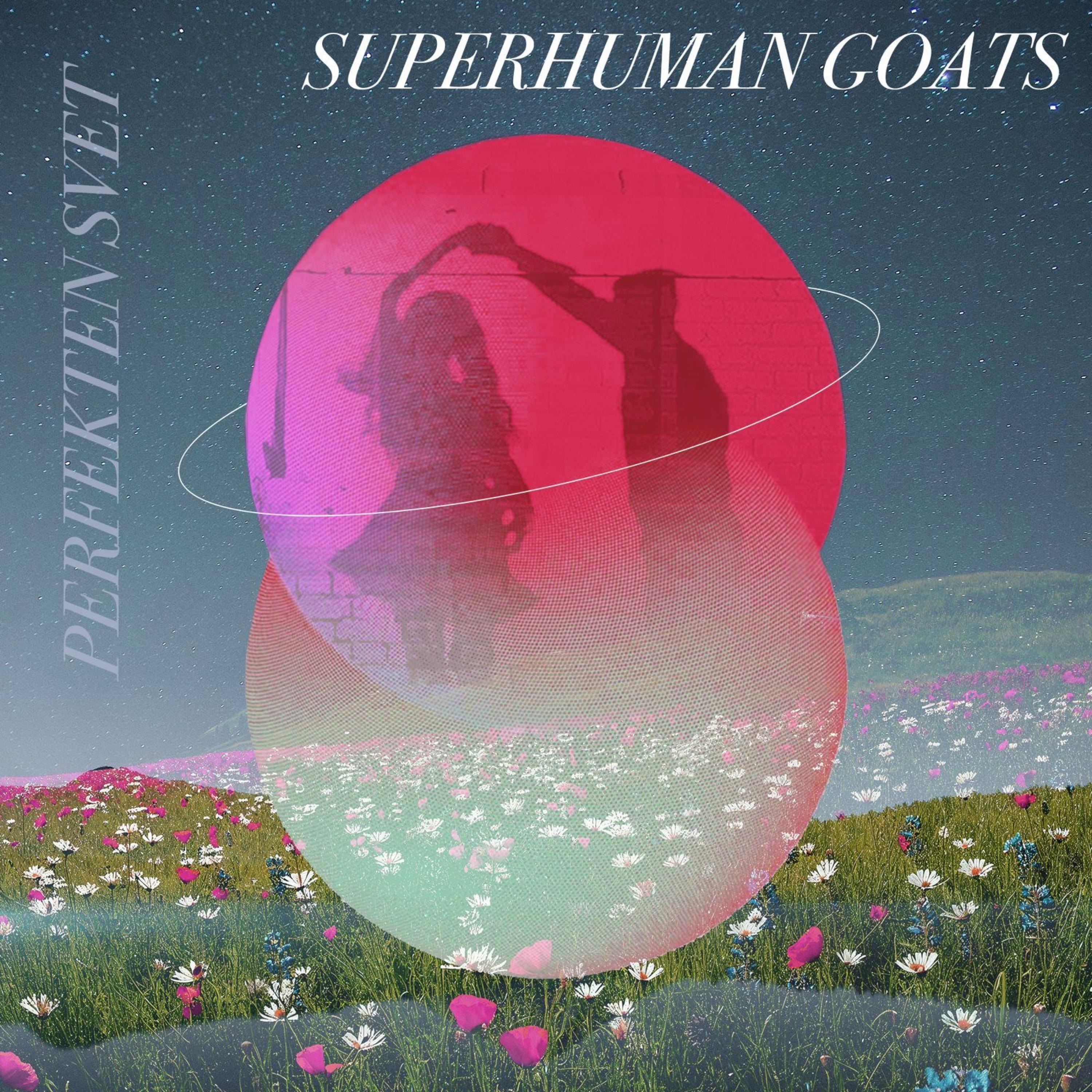 Perfekten svet - Single