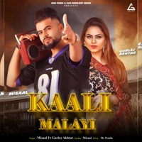 Kaali Malayi (feat. Gurlez Akhtar) - Single - Misaal