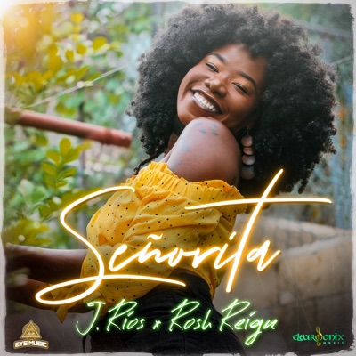 Señorita - Single