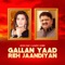 Gallan Yaad Reh Jaandiyan (feat. Humaira Channa) - Akram Rahi lyrics