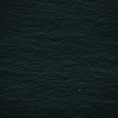 WAVES - Single
