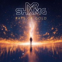 Rays of Gold (VIP Edit) - Single - Mr. Sham G