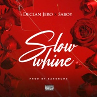 Slow Whine - Single - Declan Jero & Saboy