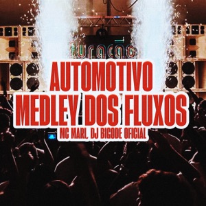 Automotivo Medley Dos Fluxos