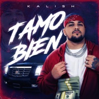 Tamo Bien - Single - Kalish