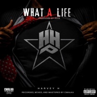 What A Life - Single - Harvey H