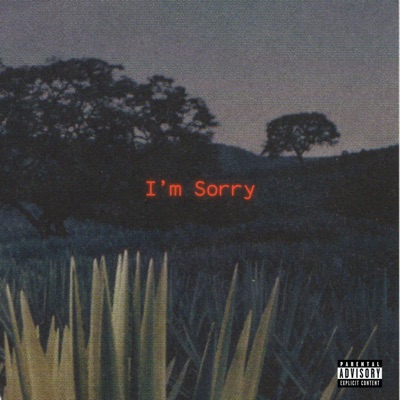 I'm Sorry - Single