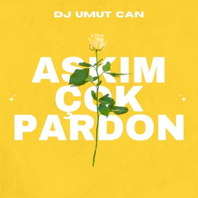 AŞKIM ÇOK PARDON