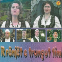 Rrenjet e Trungut Tim (feat. Fitore Berisha, Mustafë Tahiri, Ilvije Dragusha, Anita Vukpalaj, Leonora Muqaj, Hashim Shala & Shaban Baksi) - Shyhrete Behluli, Shkurte Fejza, Vjollca Buqaj & Sirije Gagica