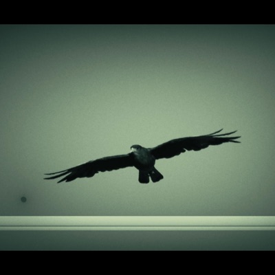 Ptaszęta (feat. NINJA SPK & Rapum) - Single