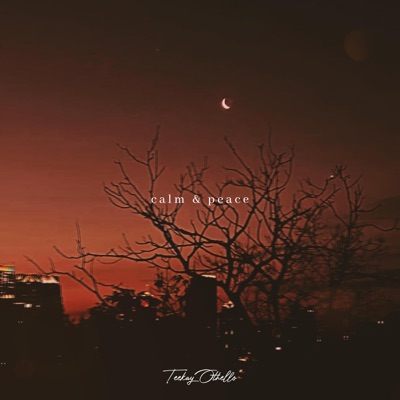 Calm & Peace - Single