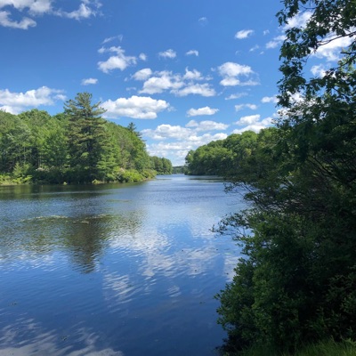 Wild Things - Single