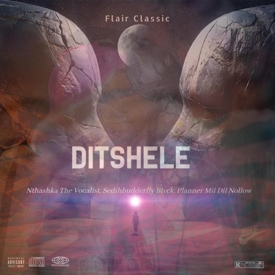 Ditshele (feat. Nthashka the Vocalist, Sedihbuderfly Blvck & Planner Mii Dii Nollow) - Single