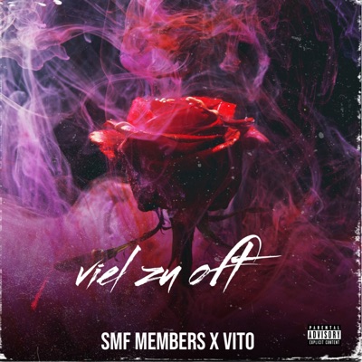 VIEL ZU OFT - Single