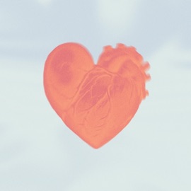 Heart Song Jellis