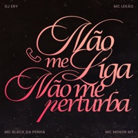 Não Me Liga, Não Me Perturba - Single - MC BLACK DA PENHA, MC LEKÃO, Mc Menor MT & DJ Ery