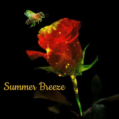 Summer Breeze (feat. Lil Polaroid) - Single