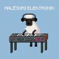 Malesori Elektronik