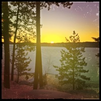 For You - Single - Minno