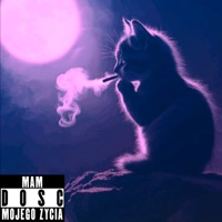 ihatewinteer - Single - hichii! & fipiqq