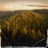 Serenity Among the Pines