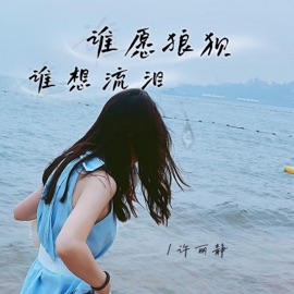 谁愿狼狈谁想流泪 (伴奏) 许丽静