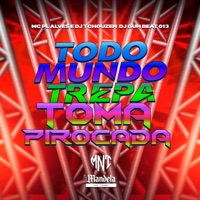 Todo Mundo Trepa - Toma Pirocada - Single - DJ GUH BEAT 013, mc pl alves & Dj Tchouzen