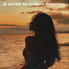 Si Antes Te Hubiera Conocido (Remix - Sped Up [feat. Technoglobal & Fran Garro] - Sped Boy