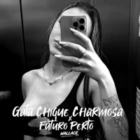 GATA CHIQUE CHARMOSA x FUTURO PERTO - Single - Wallace DJ