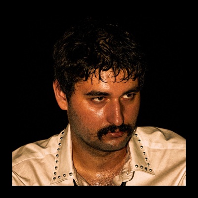 אי אפשר לרכב על סוס פרא