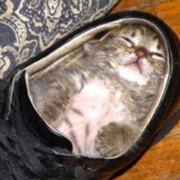 funeral. - Single - 2lucid