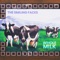 Whole Milk - The Smiling Faces lyrics