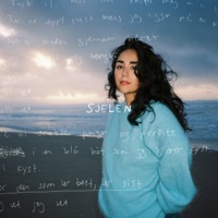 Sjelen - Single - Delara