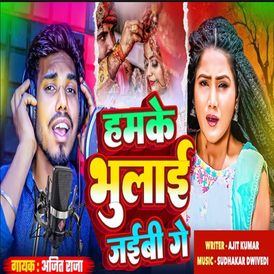 Hamke Bhulai Jaibi Ge - Single